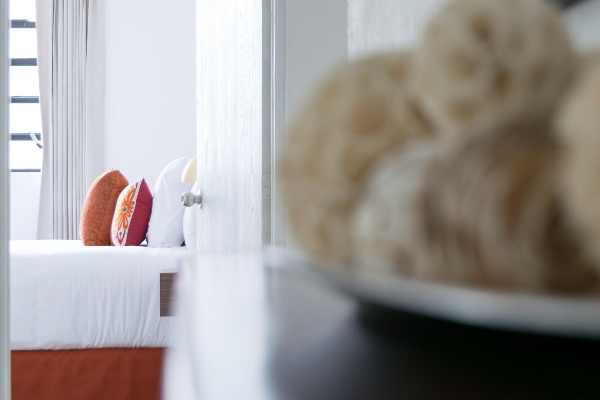 In & Out Hotel (Adults Only) Guatemala City Екстер'єр фото